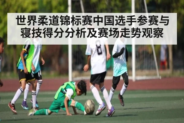 世界柔道锦标赛中国选手参赛与寝技得分分析及赛场走势观察 | kaiyun